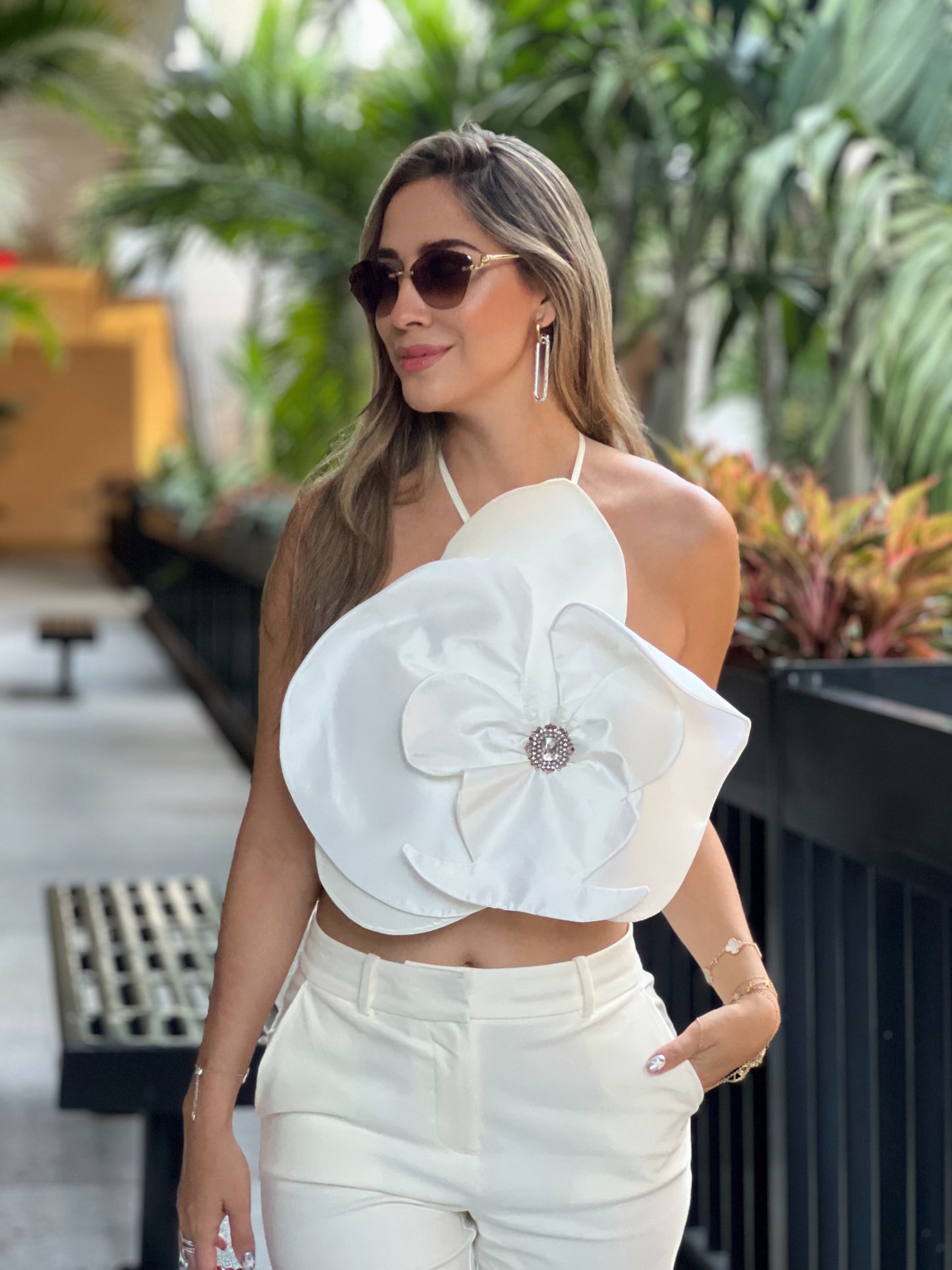 Orquídea Top