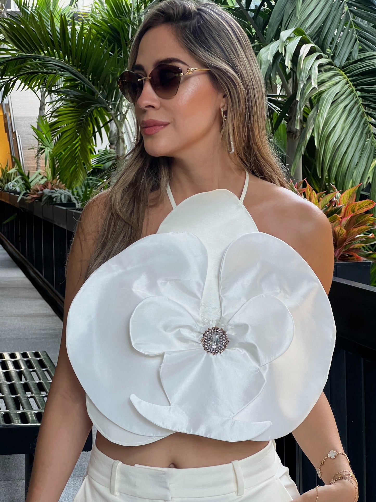 Orquídea Top