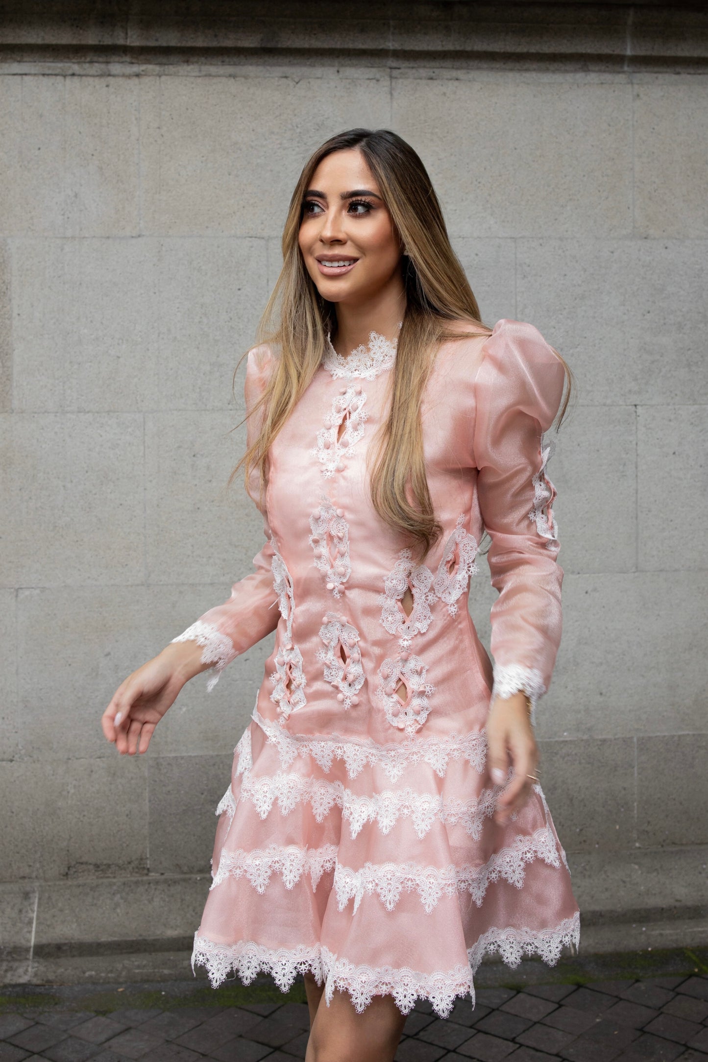 Marina Organza Dress
